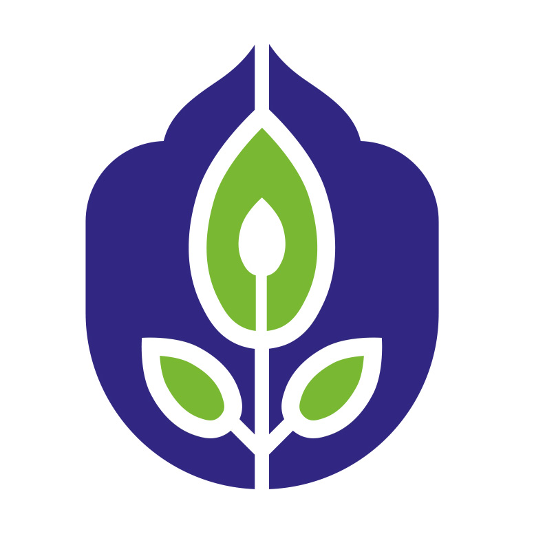 حجت الاسلام امیری
