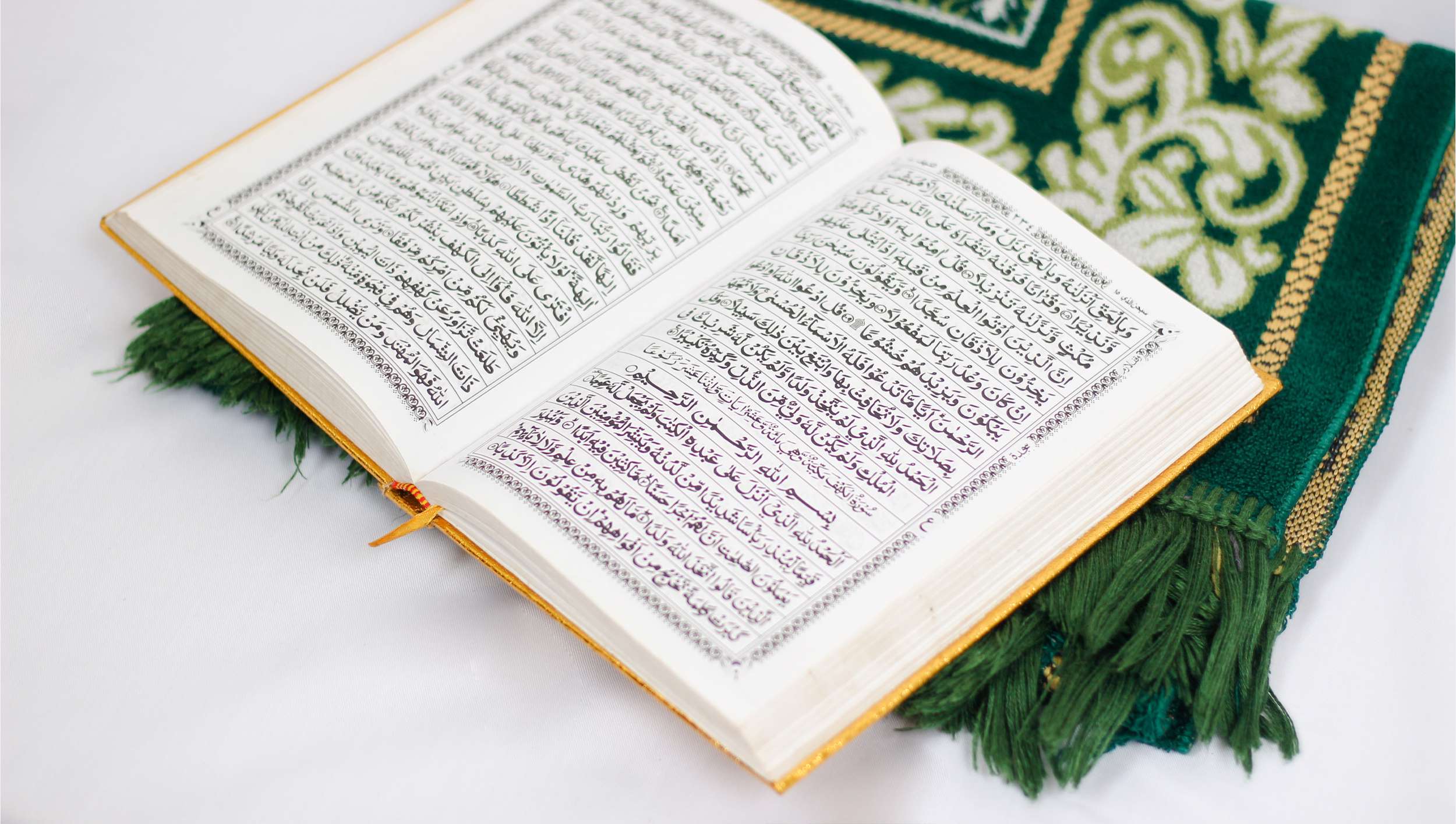 قرآن در 114 نما
